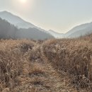 도소 마을회관 이미지