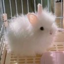 나는 커서 @@ 선배님처럼 멋진 가수가 될 거야 이미지
