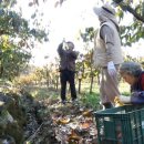 종현농장 이미지