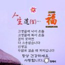최선장 식당 이미지