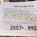 연곡솔향기캠핑장 동계솔로캠핑 다녀왔습니다 b구역