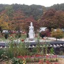 영월군청화장실 이미지