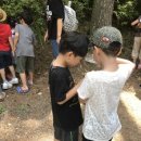 광남초교병설유치원 이미지