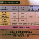 용연동굴 이미지