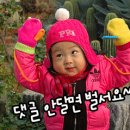 전국 개별공시지가 조회 이미지