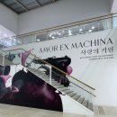 넘어선 예술적 연대, 서울시립미술관 난지미술창작스튜디오 20주년 기념전 《사랑의 기원》 심층 관람 후기