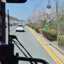 판암네거리 이미지