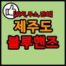 ㈜현대노형북부서비스 | 제주도 블루핸즈 (현대차 서비스센터) 목록