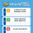 새빛 태권도 이미지