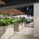 놀부부대NC수원터미널점 이미지