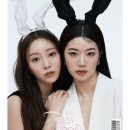 백장미