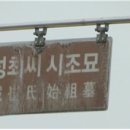 수성최씨 시조묘 이미지