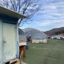 발랑낚시터매점 이미지