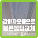 씨유 평택어연원룸점 | 강아지오줌으로불은 몰딩 교체 수리