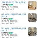 GS25 봄내박물관점 | 제주도 혼자 여행객을 위한 서귀포 게하 추천_조용한 게스트 하우스 숙박 후기