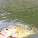 천왕중학교 이미지