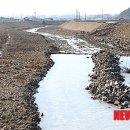 양지말천 이미지