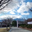 고여금감자탕 서울직영점 이미지