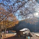 더불어사는터 이미지