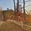 미사경희약국 이미지