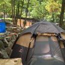 사지목나무그늘 이미지