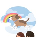 온라이프상조