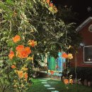 담소쉼터민박 | 한국기행 충주 민박 펜션 정보 및 예약하기