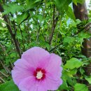 학운공원내 이미지