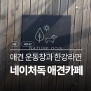 숲속애견랜드 | [양주/카페] 북한산 숲속 애견 운동장 <네이처독> 내돈내산 후기