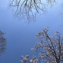 노루목작은도서관 이미지