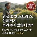 연합장묘개발 - 3757 | 묘지이장은 부담 많은 가족들의 책임 있는 선택