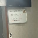 제주 서귀포 애견동반 맛집 현정이네 내돈내산 후기