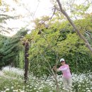 나절로미술관 이미지