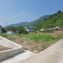 송선1리 이미지