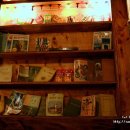 강남별이 이미지