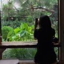 익산역 관광안내소 | 군산 2박 3일 뚜벅이 여행 DAY 1 (북성루-화담여관-둔율담-초원사진관-모어앤모어-미즈커피-만득이곱창...