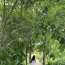 가야4리 이미지