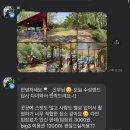 💍 w-9 대구 만지작 야외 웨딩 스냅 후기 촬영 준비 라라런드리 셀프 웨딩드레스