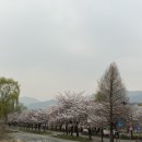 대사동로 네이버블로그
