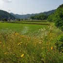 연화주유소 이미지