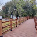 구미에코랜드전망대 화장실 이미지