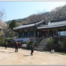 도비산 등산로 이미지