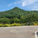 문필봉민박 이미지