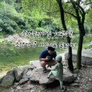 소양강가든 이미지