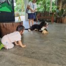 버스정류장(폭스존) | 🇸🇬 아이랑 싱가포르 보타닉가든 제이콥 발라스 5가지 시설 총정리(Jacob Ballas Children’s Garden)