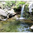 네이처펜션 이미지