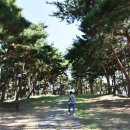 사육신묘 산책로 이미지