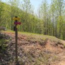 부귀면행정복지센터 이미지