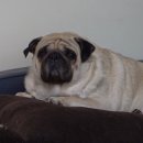 태식농장 이미지