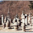 진주품은조개